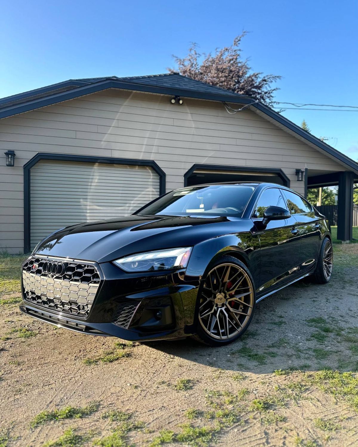 The S5 from the front three-quarter in low sun, its honeycomb grille filling the frame